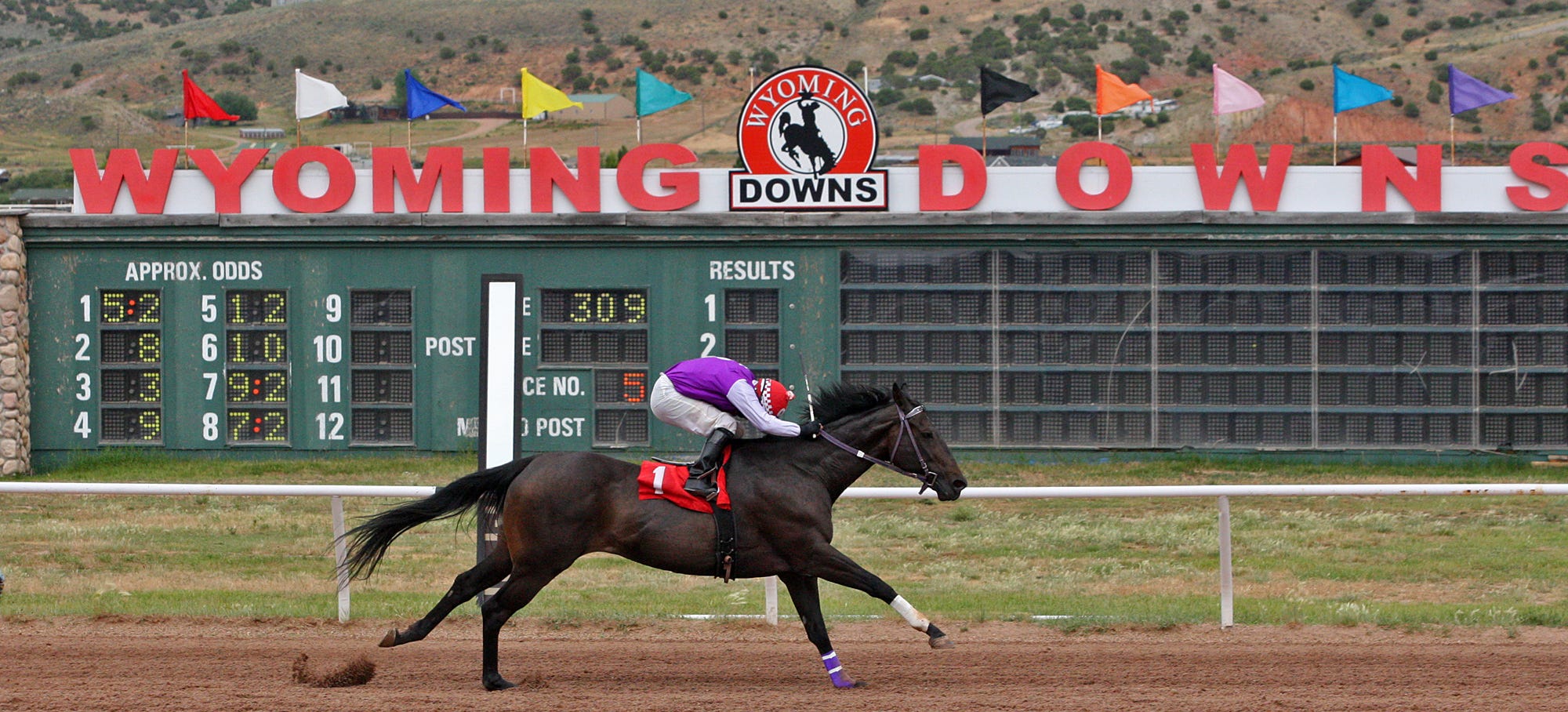 Horse racing 'gold rush' coming to Wyoming